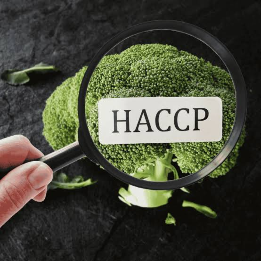HACCP food safety certification for food businesses